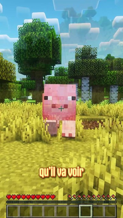 Ne fais pas confiance à ce cochon 😱