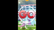 Pokémon GO 245-Mareanie Raid