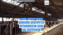 Κύπρος: Μετά την καθολική καραντίνα λόγω αφθώδους καταφθάνουν Ευρωπαίοι εμπειρογνώμονες