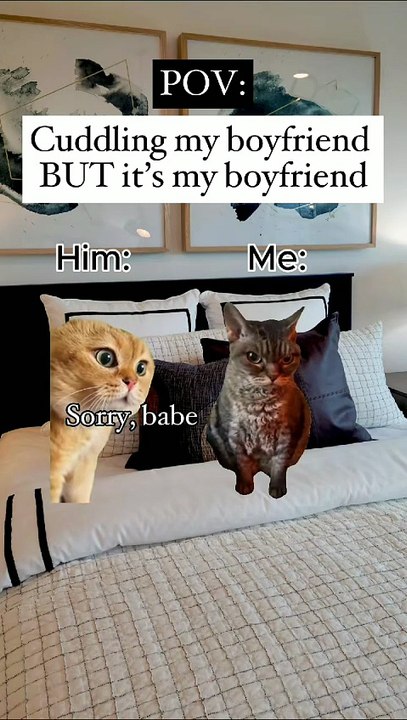 Pov cuddling my boyfriend but it's my boyfriend, smelling my boyfriend, farting machine friend cat meme memes