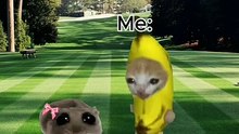 Pov Gen Z bringing a pet to house, Gen Z childhood, cat memes, funny, pet animations, funny cats, family fun