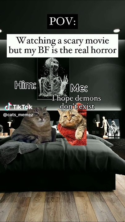 Cat memes funny relationships couples boyfriend girlfriend #catmemes #couples