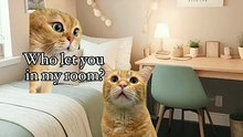 Pov when guests came over with a kid cat meme memes