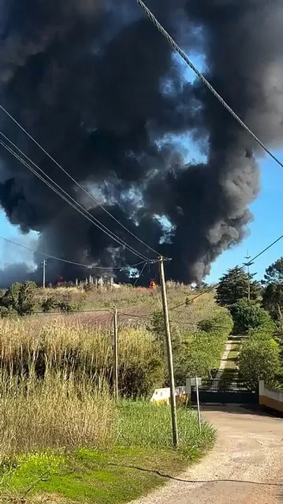 incêndio em armazém de fruta em óbidos