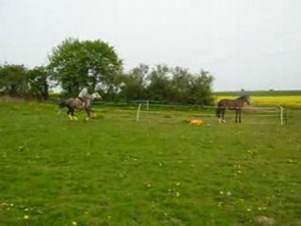 Photo 1331340