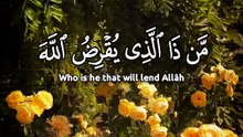 ﴿ مَنْ ذَا الَّذِي يُقْرِضُ اللَّهَ قَرْضًا حَسَنًا فَيُضَاعِفَهُ لَهُ وَلَهُ أَجْرٌ كَرِيمٌ ﴾