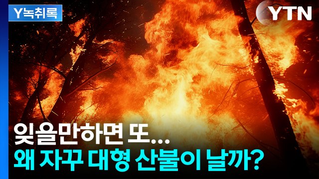 반복되는 최악의 산불...우리나라 '산림 구조' 자체가 문제? [Y녹취록] / YTN