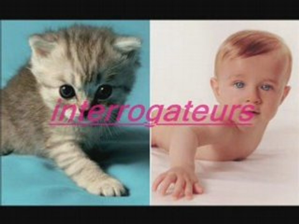 Similitudes