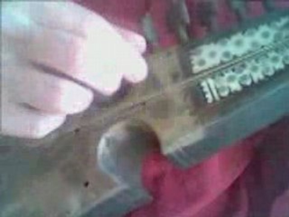 Indigènes de la république