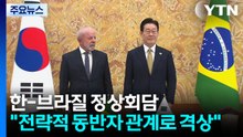 한-브라질 정상회담..."전략적 동반자 관계로 격상" / YTN