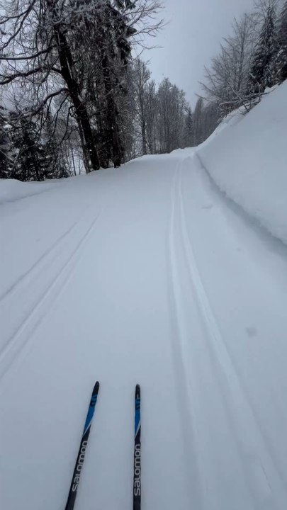Comme un lundi au travail 🤪