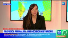 L'invitée de Bonjour Lille du lundi 23 février 2026 - Maître Graziella Dode