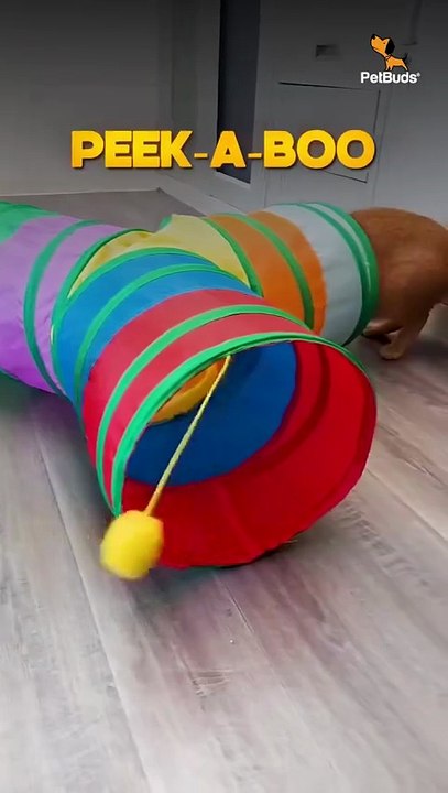 PetBuds 3 Way Cat Tunnels for Indoor Fun | Ultimate Cat Playtime