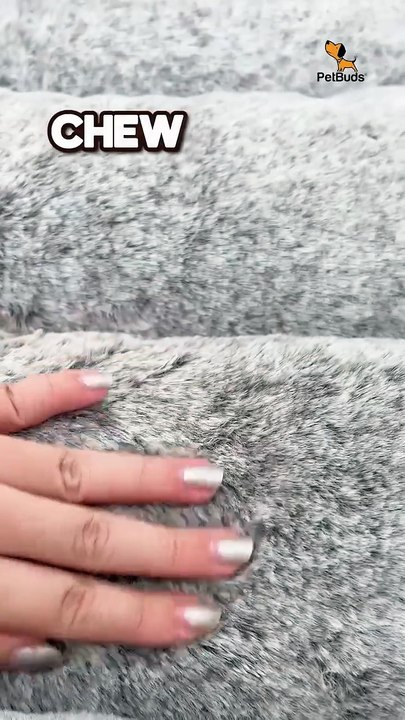 Chew Proof Dog Bed | Indestructible & Durable for Heavy Chewers