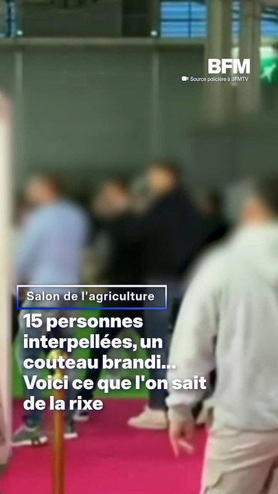 15 personnes interpellées, un couteau brandi... Voici ce que l'on sait de la rixe