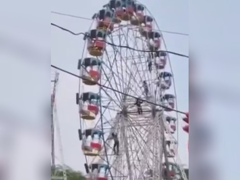 Bienen attackieren Riesenrad: Gäste klettern aus Gondeln