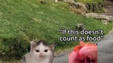 When a house cat from the city encounters a farm 🐈 🐈 ⬛