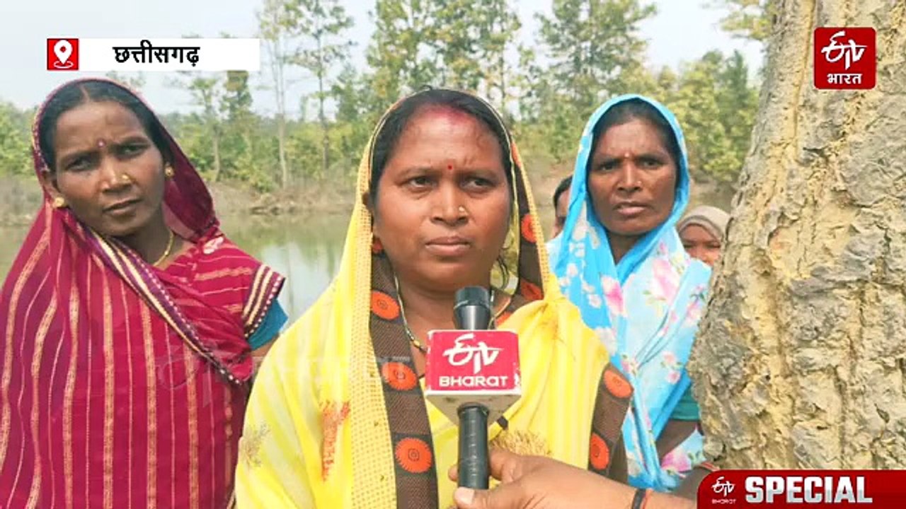 सूरजपुर के चंदौरा ग्राम पंचायत का कमाल, मृत नाले में स्टॉप डैम बनाकर 12 महीने किसान ले रहे फसल, मछली पालन भी