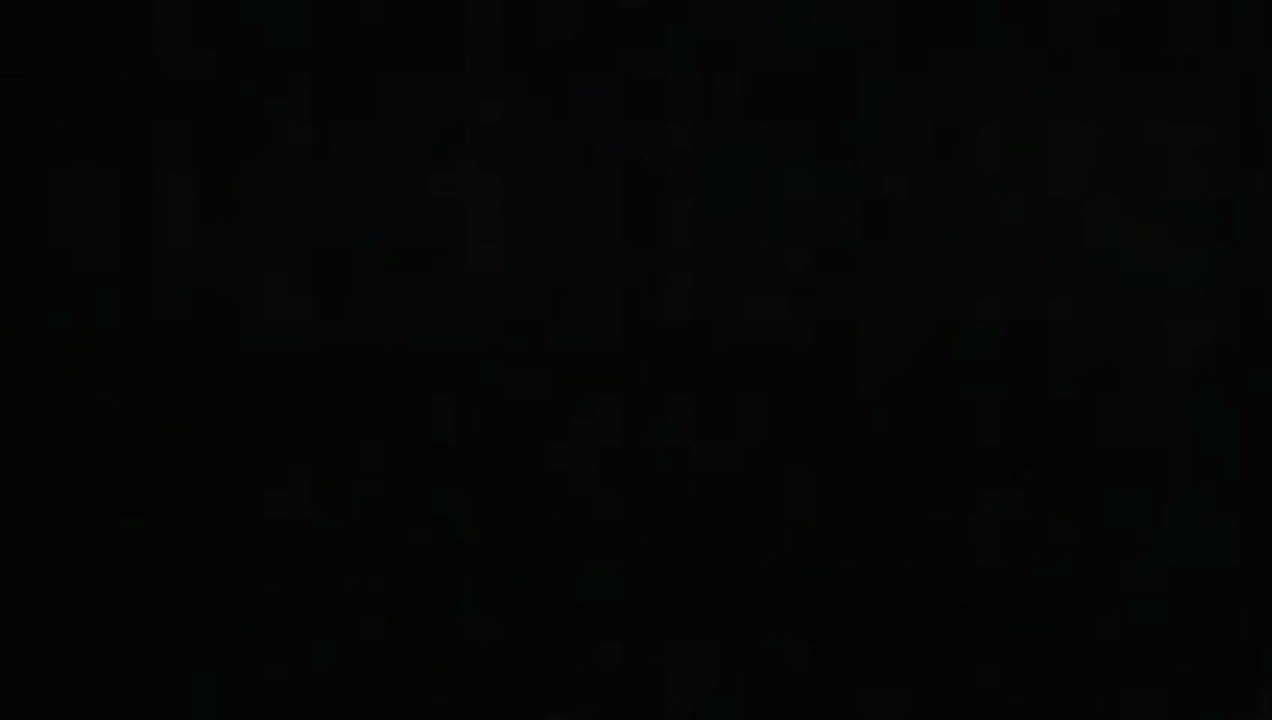 Ein Profi-Ding Trailer DF