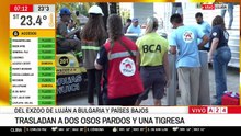 Trasladan a los animales del ex zoo de Luján