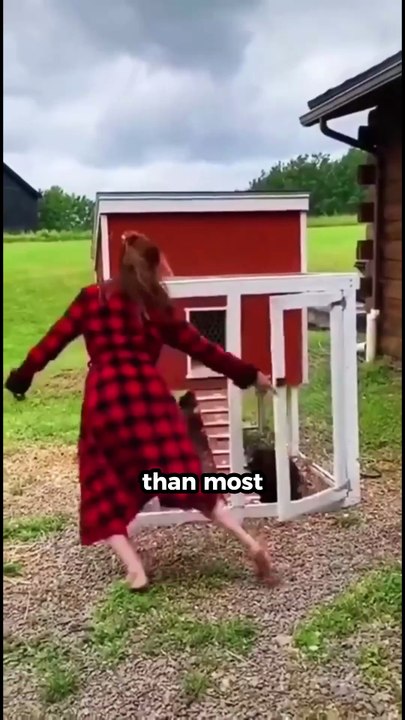 Don’t Underestimate a Chicken 🐔 #facts #shorts #viral