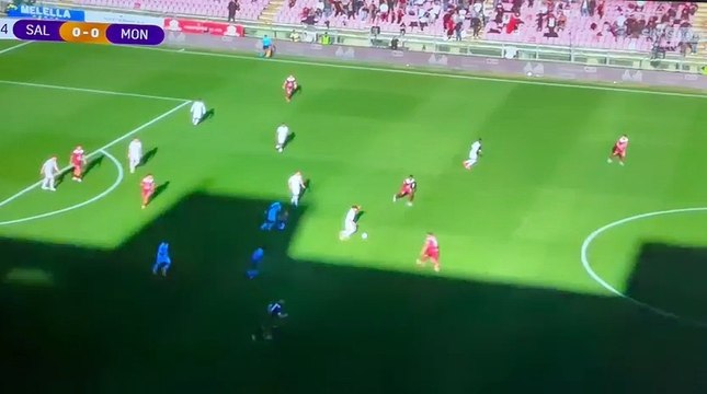 Image from field_mediaid