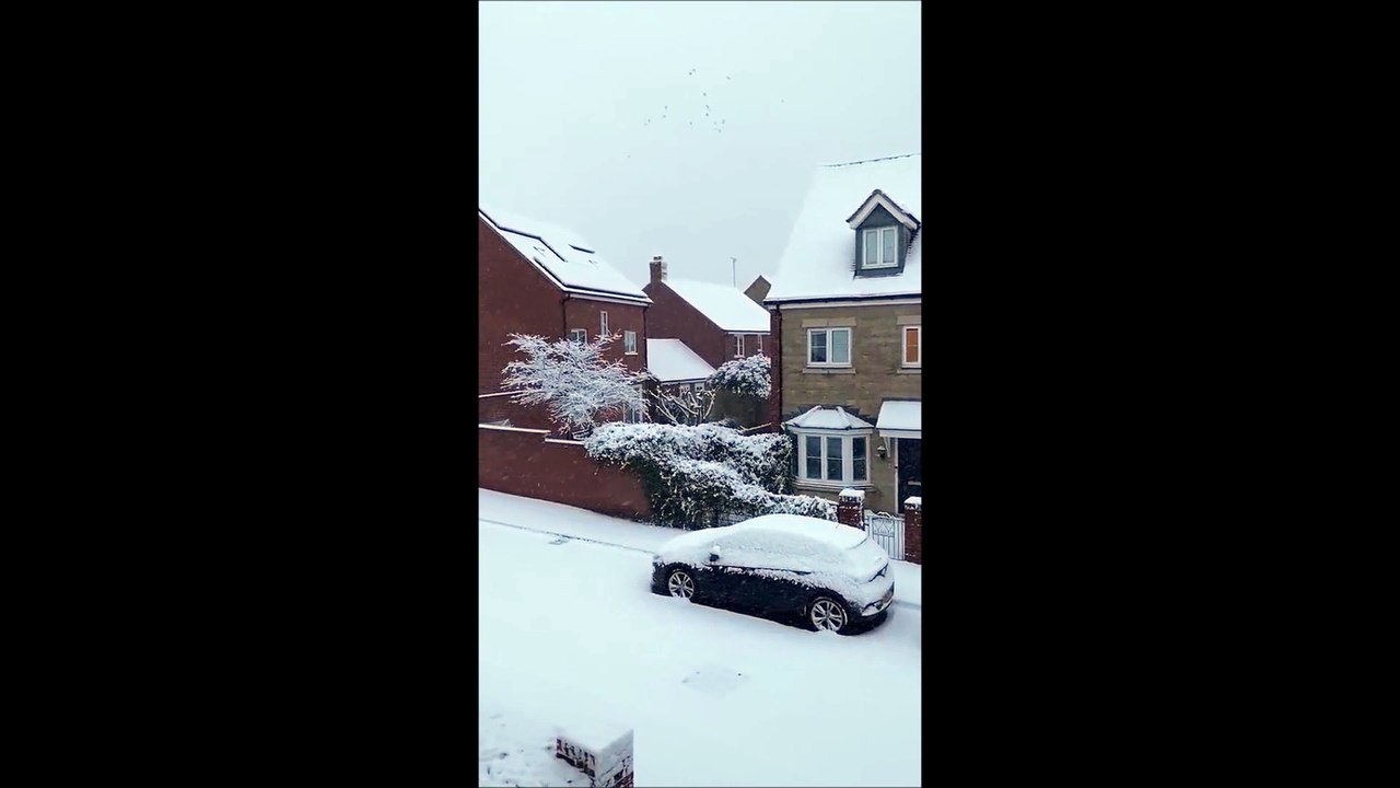 Powerful Winter Storm Disrupts Travel, Schools, and Daily Life Across the Country