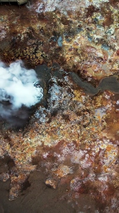 Je vais manger un œuf noir !