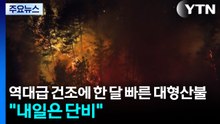 역대급 메마름에 한 달 빠른 대형산불..."내일은 천금같은 단비" / YTN
