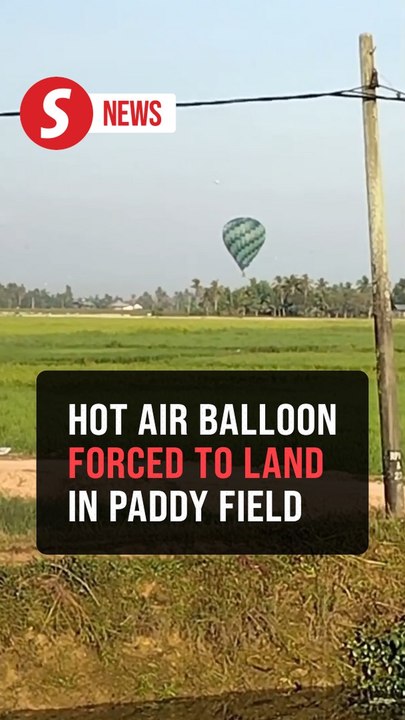 Hot air balloon makes emergency landing in padd...