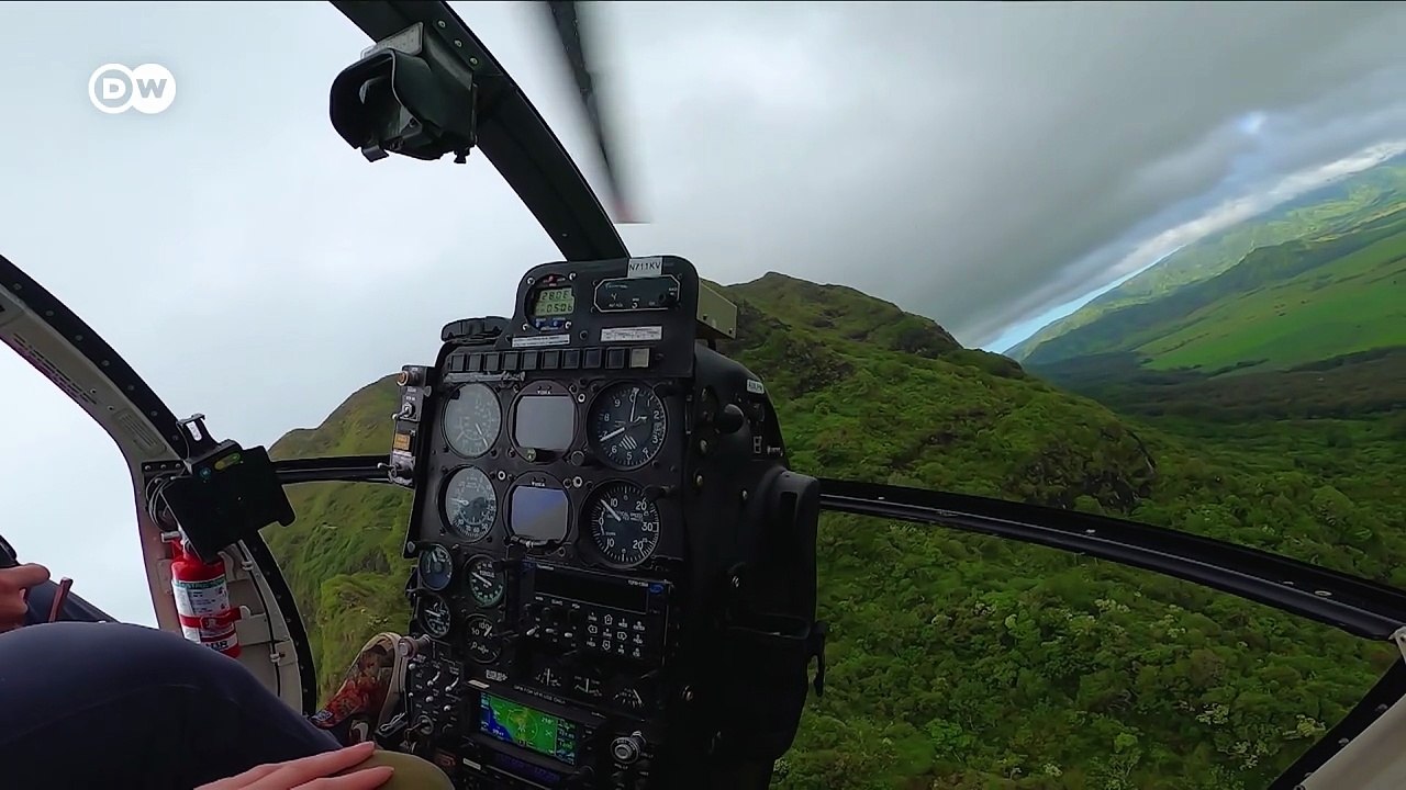 Warum Menschen nicht wie Vögel fliegen können