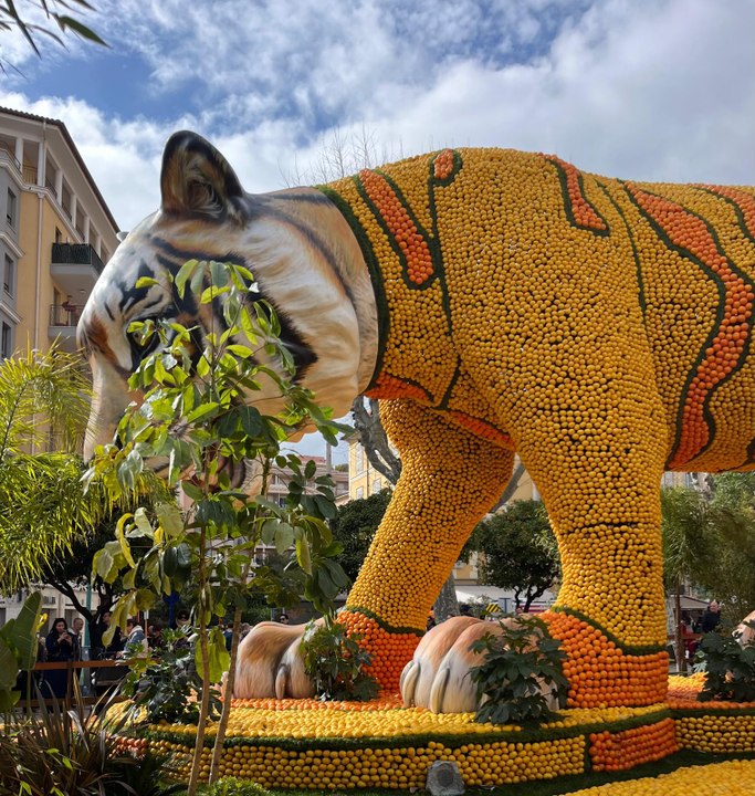 Fête du Citron Menton : au cœur du Corso de fruits d'or