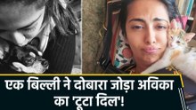 बिल्ली ने दोबारा जोड़ा Avika Gor का 'टूटा दिल', Actress ने बताई पूरी कहानी!