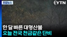 [날씨] 역대급 메마름에 한 달 빠른 대형산불..."오늘 천금같은 단비" / YTN