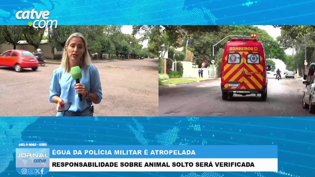 Idosos envolvidos em acidente com égua da PM estavam voltando de consulta médica