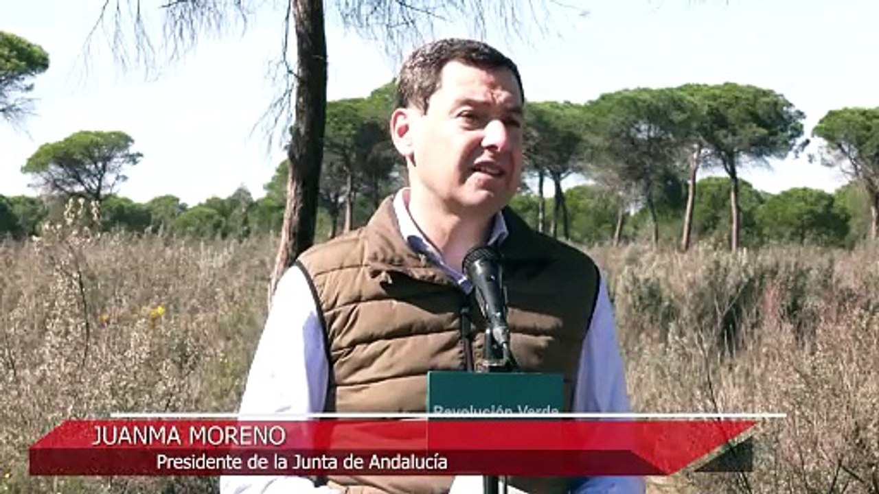 Moreno resalta el renacer de Doñana con 1,8 millones de nuevas plantas tras el incendio de 2017