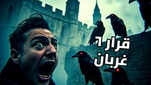 سر الغربان الستة: هل تنهار بريطانيا إذا طارت؟ 🦅🇬🇧