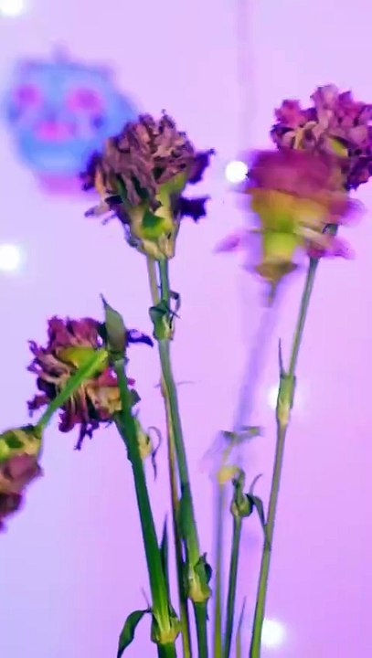 💖🌹🥹 A Gift From the Heart 🥹 Silk Flower Maker Gadget