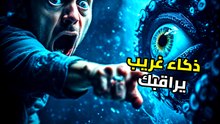 الأخطبوط: الكائن الفضائي الذي يعيش بيننا بتسعة عقول وثلاثة قلوب!