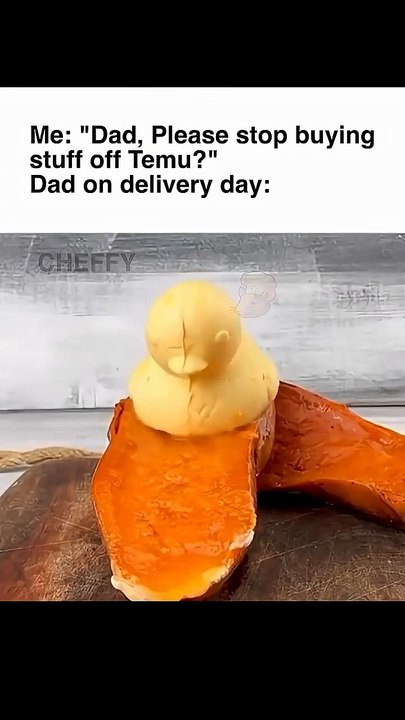 #naoflopa 🦆
