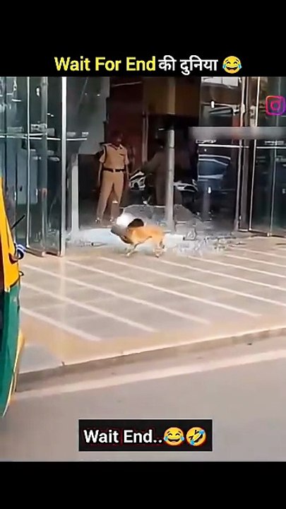 जानवरों के Gajab कारनामें 😂 wait for twist 🤣 #funny #animals #shorts