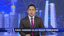 Menegangkan! Kawanan Gajah Sumatera Masuk Area Mess Karyawan di Riau | KOMPAS SAHUR