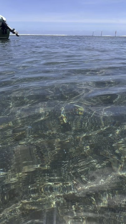 I try to film in the ocean with my iPhone look at the result 😳