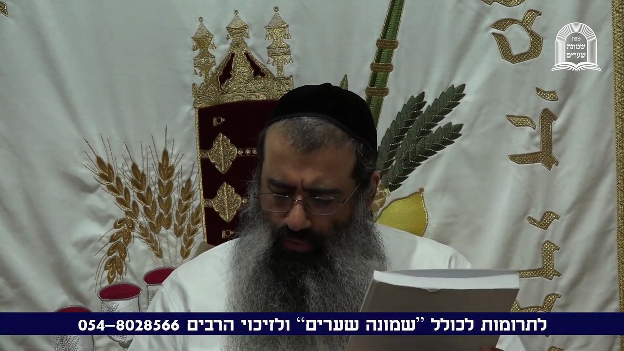 תורת הערכים 01