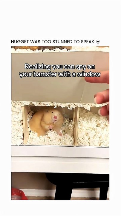 Get your SEPHORA card from my byo 🎀