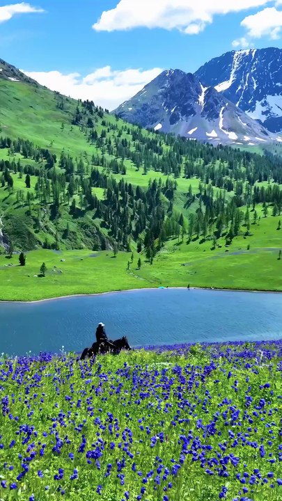 Romantic Green Prairie Horses Serenity