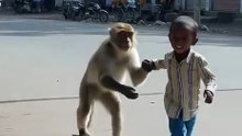 8 year kids playing monkey friend