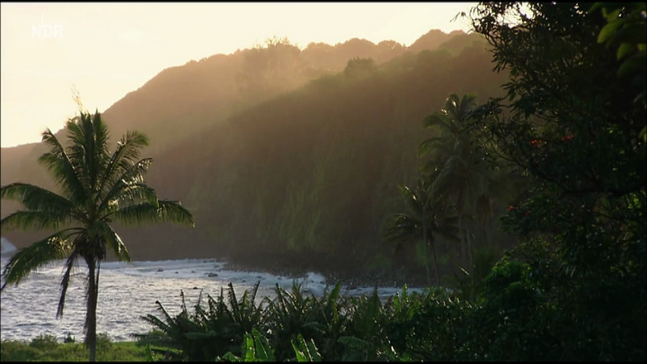 Hawaii - Paradies der Wale und Vulkane
