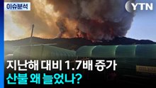 [뉴스나우] 산불, 지난해 대비 1.7배 증가...원인과 예방법은? / YTN