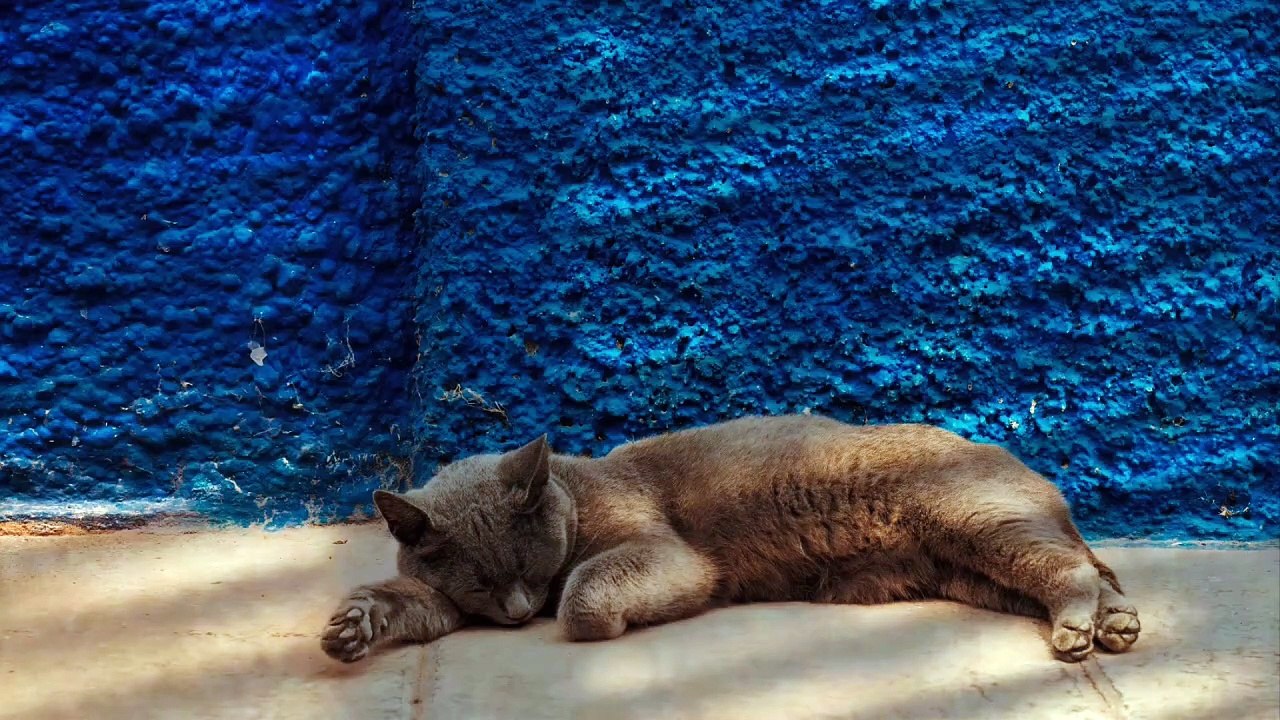 Le Jardin des Sommeils-Au Bord du Rêve